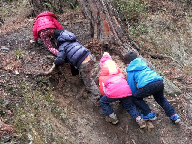 Scuola nel bosco: attività sul campo