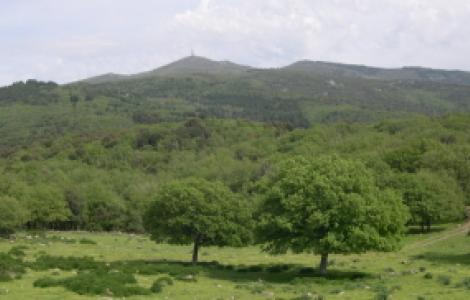 Monte Pisanu visto da Anela (su Pranu)