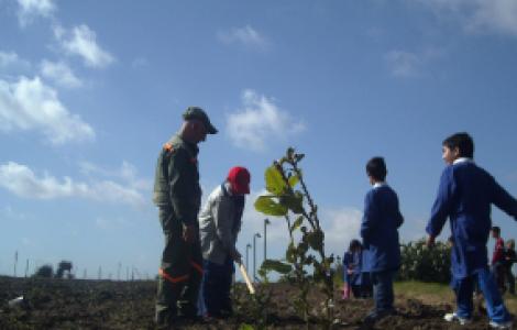un albero per ogni bambino