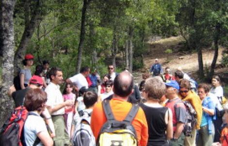 Sentieristica Entro Il Mese Di Agosto In Distribuzione Le Carte Escursionistiche E La Brochure Sardegnaforeste