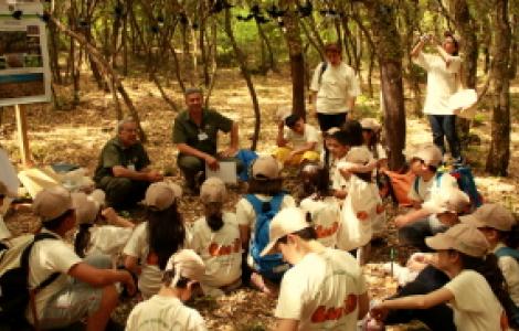 Attività didattica in bosco - concorso scuole primarie