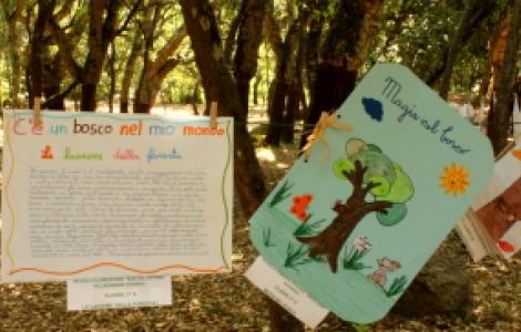 Educazione Ambientale