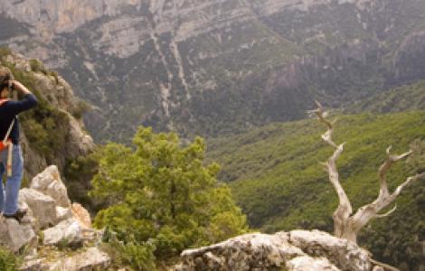 Urzulei, Codula di Luna - foto in Digital Library