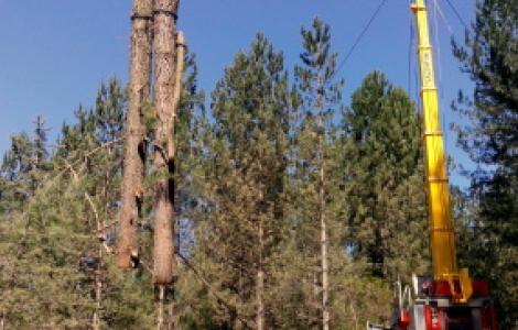 Esbosco con moderna teleferica forestale Esbosco con moderna teleferica forestale