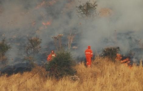 Spegnimento di un incendio