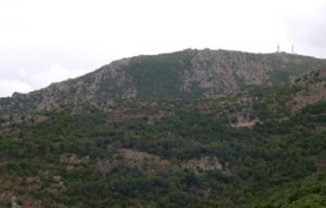 Pattada, foresta di Monte Lerno