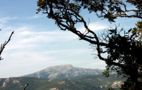 Marganai, panorama verso il massiccio del Monte Linas