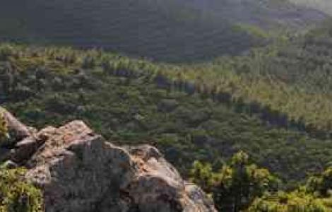 Monte Arci, panorama