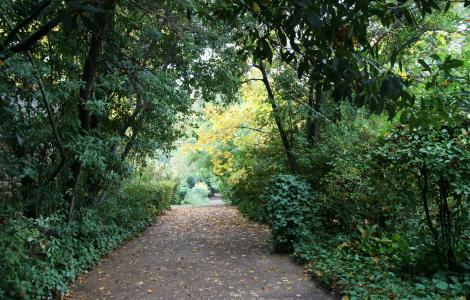 Laconi, vialetto nel Parco Aymerich