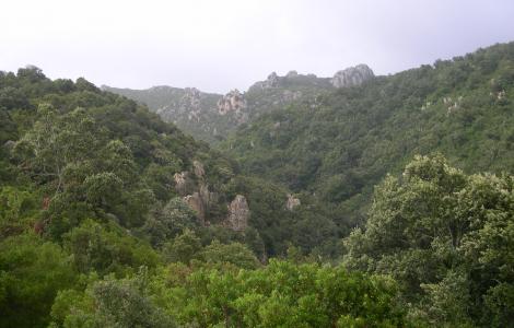 Barigadu, Panorama sul canale boscato