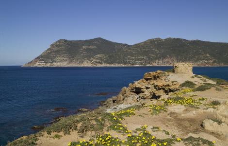 Digital Library: Torre di Bantine Sale e promontorio di Porto Ferro