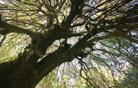 Vallata di Campu Massidda (Usellus)