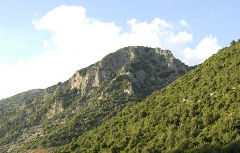 Scorci dei versanti Montuosi di Marganai, da SardegnaDigitalLibrary