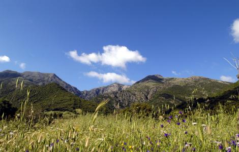 panorama Monte Linas
