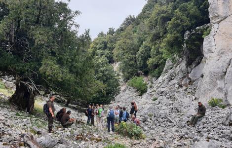 La visita tra le imponenti querce sul calcare del supramonte