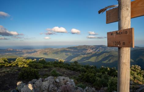 Panorama del territorio dalla cima di Monte Maxia (lungo il sentiero 210, foto M.Cara)