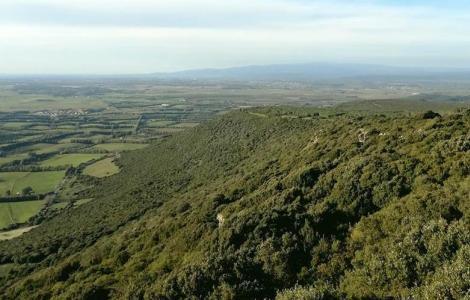 Panorama da Vedetta di Sedda 'e Anea