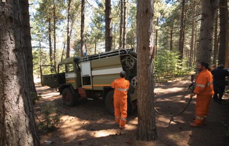 Operai Ente Foreste in postazione antincendio Operai Ente Foreste in postazione antincendio