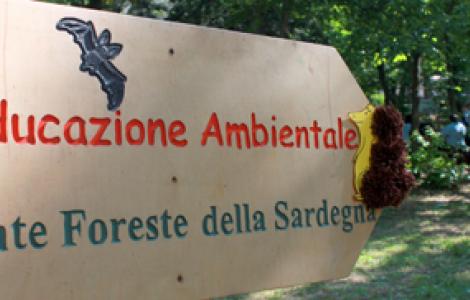Educazione Ambientale, alcuni cartelli indicano le attività in foresta