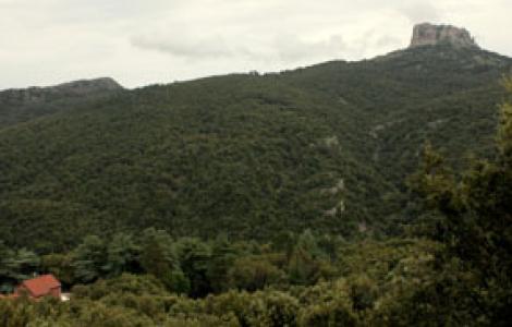 montes, vista dall'alto del complesso forestale