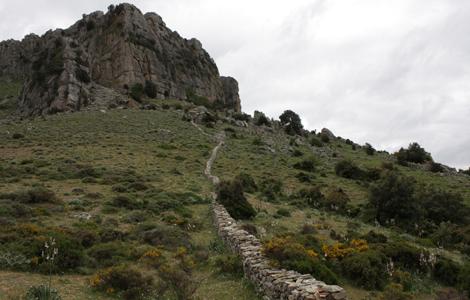 Montes: i tacchi calcarei; monte Fumai Montes: i tacchi calcarei; monte Fumai