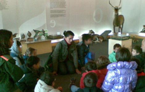 immagini della mostra di sorso