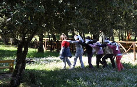 Educazione Ambientale, giochi per bimbi nel bosco