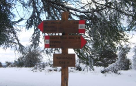 Segnaletica verticale lungo il sentiero innevato presso punta Masiennera Segnaletica verticale lungo il sentiero innevato presso punta Masiennera