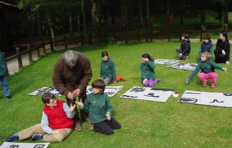 Educazione Ambientale  - foto 1
