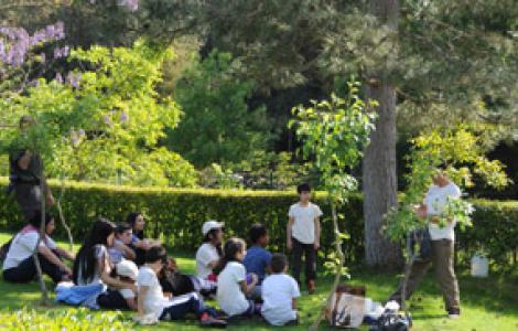 Educazione Ambientale - foto 4 Educazione Ambientale - foto 4