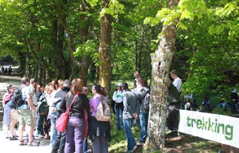 Trekking nella foresta demaniale di Marganai, in occasione di una giornata di Foreste Aperte