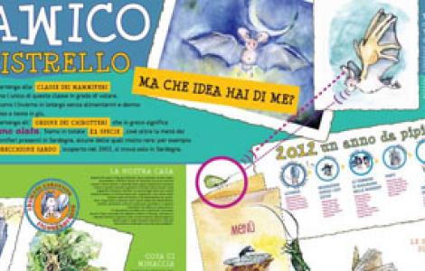 Poster Amico Pipistrello