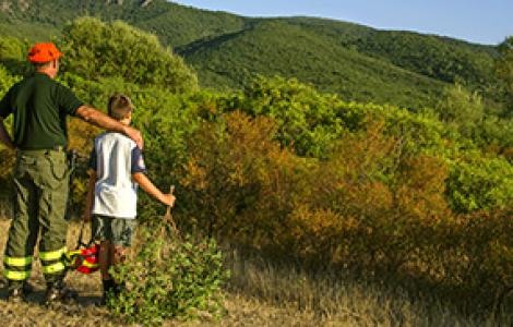 Dopo un incendio Dopo un incendio