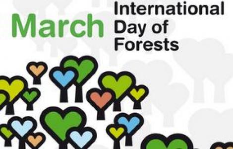 Giornata mondiale delle foreste, 21 marzo 2015 Giornata mondiale delle foreste, 21 marzo 2015