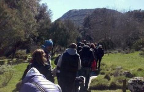 parquetta a Marganai: fila per la visita del Giardino Linasia
