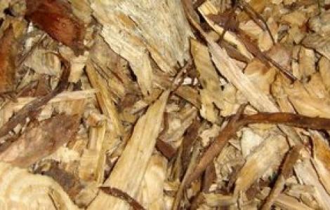 Campioni di cippato di tronco con corteccia