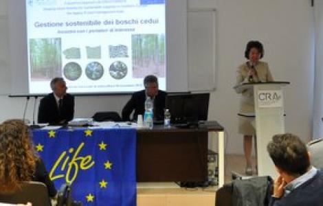 Meeting di Arezzo progetto LIFE cedui