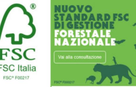 logo e banner FSC logo e banner FSC