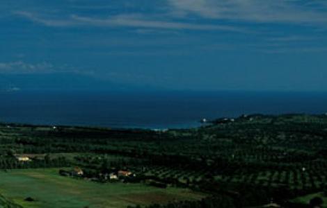 Free Climbing ad Alghero Porto-Conte