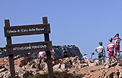 Escursioni in mountain bike