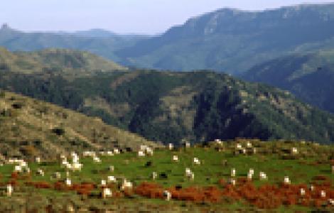 Gennargentu, Perda Liana, Ruiu Gennargentu. Sullo sfondo Perda Liana