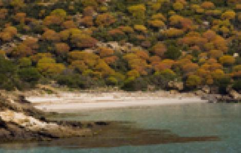 Asinara, cala Arenao Asinara, cala Arenao