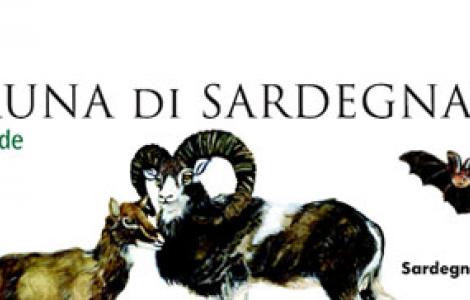 Scheda fauna sarda