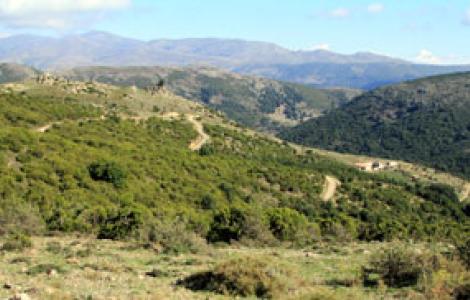 Riu Nuxi, Seui - sullo sfondo la catena del Gennargentu