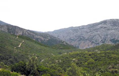 Foresta di Silana Foresta di Silana