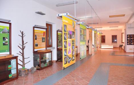 Museo della foresta demaniale di Montes