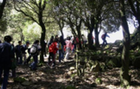 Studenti in gita a Monte Arci
