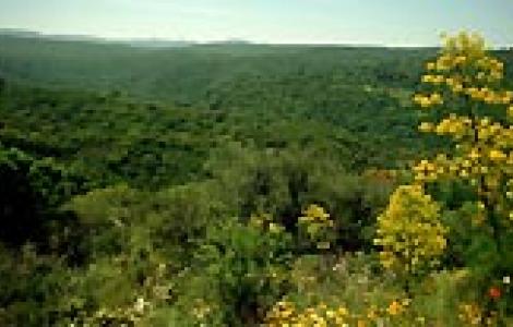 bosco-alà-dei-sardi.ruiu bosco - alà dei sardi