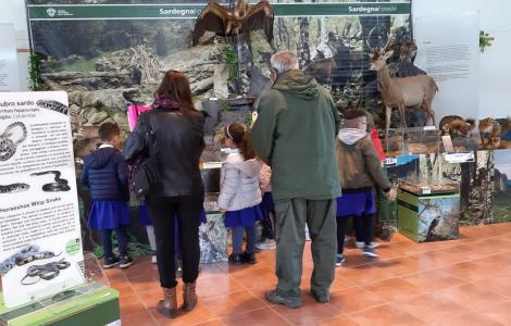 allestimento mostra itinerante in una scuola (foto Pierpaolo Mocci) 3