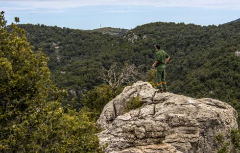 Orizzonti Forestali (paesaggio, foto di C.Mascia)